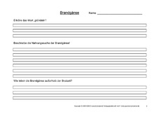 Arbeitsblatt-Brandgänse-2.pdf